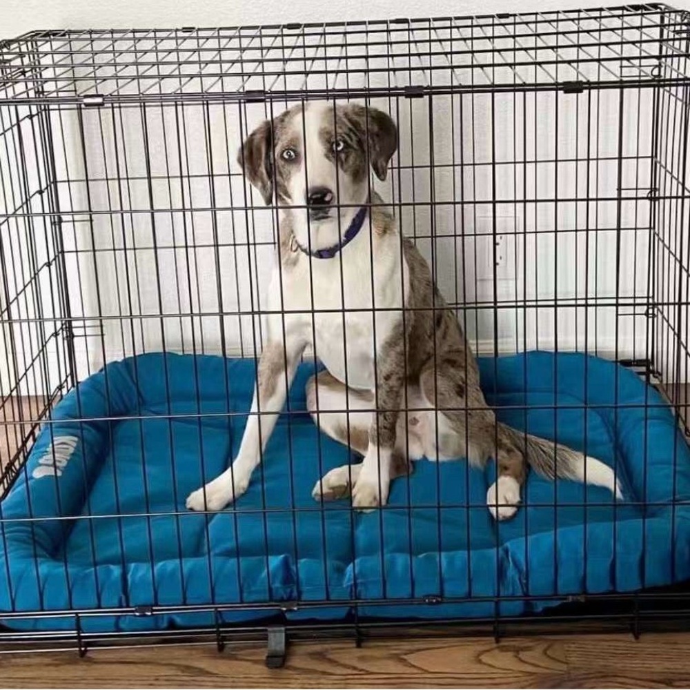 KONG durable crate dog bed - Picture 4 of 7